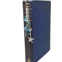 Book01.1532842862_c01v