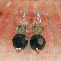 Ear69_0391