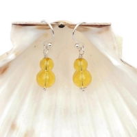 Ear71.1079770119_7hs0