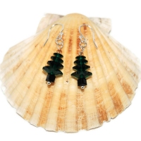 Ear82.1303278376_hb7z