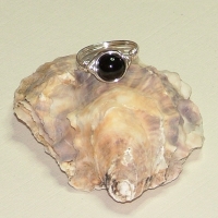 Ring02_5645