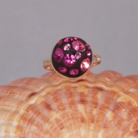 Ring04_0477