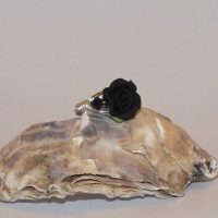 Ring09_2660