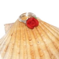 Ring10.1118205559_smcs